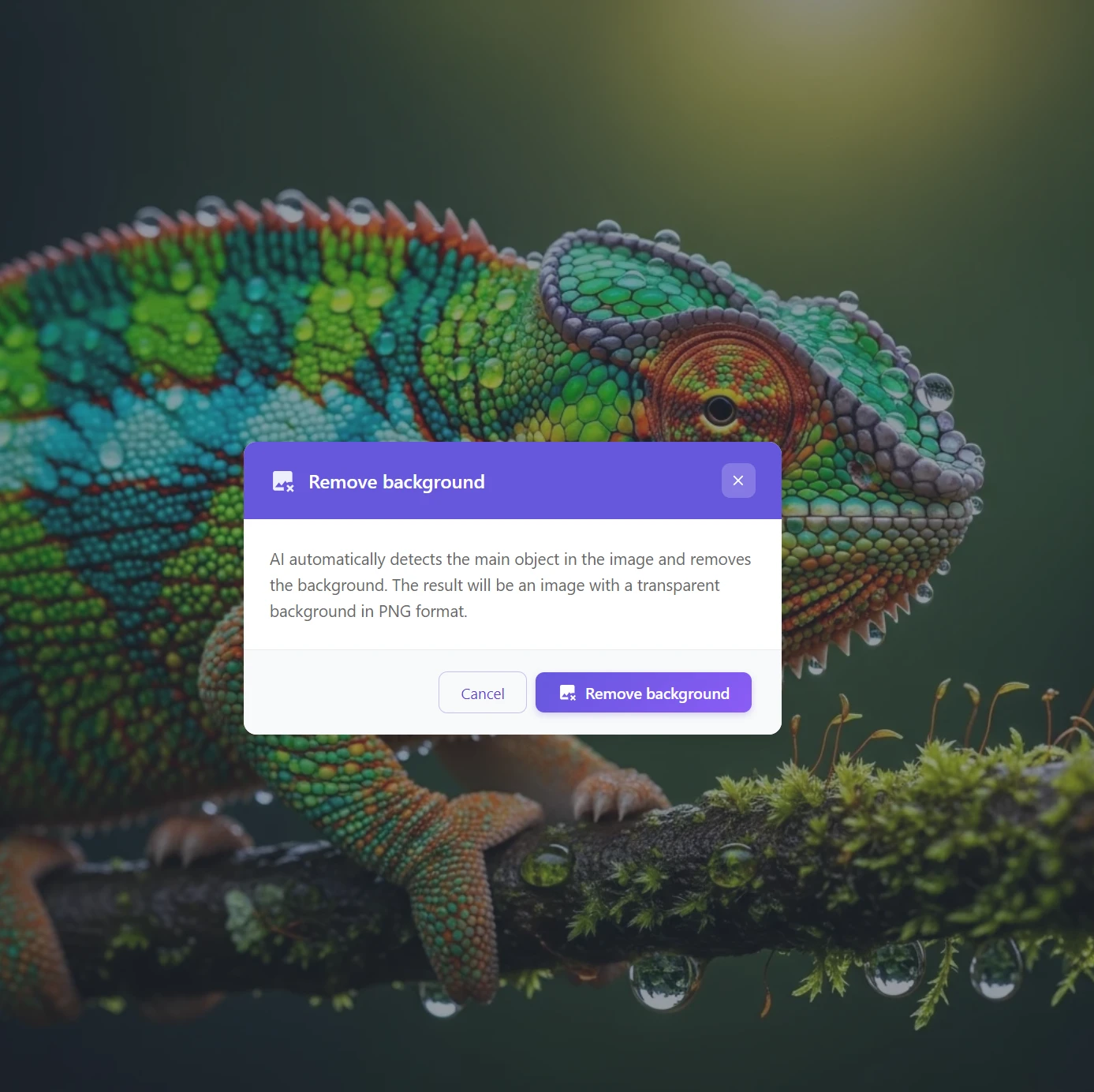 Potvrzení automatického AI odstranění pozadí z fotografie chameleona jedním kliknutím