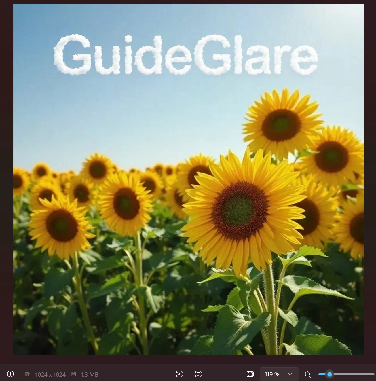 Pole slunečnic v nízkém rozlišení 1024x1024 se ztrátou detailů